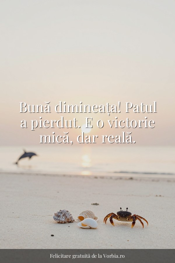 Bună dimineața! Patul a pierdut. E o victorie mică, dar reală. - felicitare Vorbia.ro