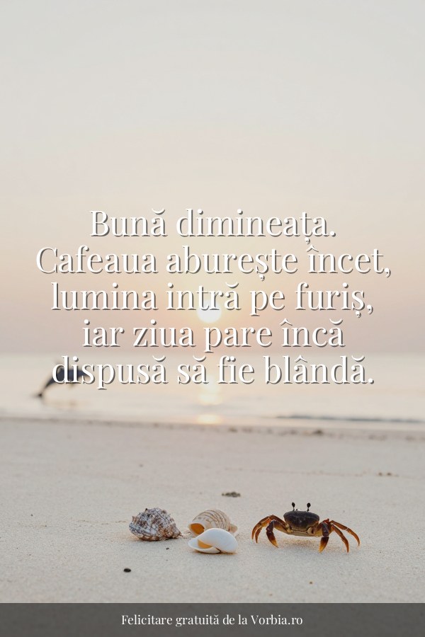 Bună dimineața. Cafeaua aburește încet, lumina intră pe furiș, iar ziua pare încă dispusă să fie blândă. - felicitare Vorbia.ro