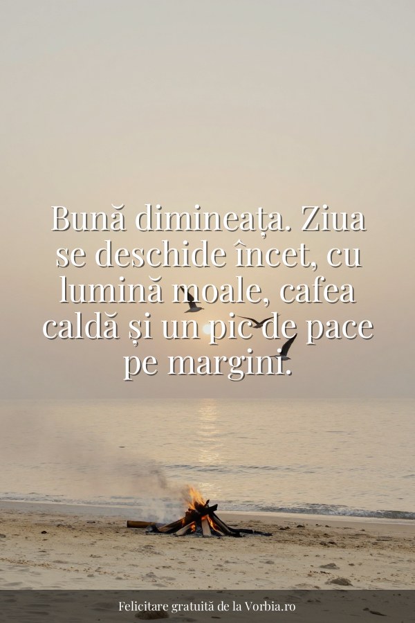 Bună dimineața. Ziua se deschide încet, cu lumină moale, cafea caldă și un pic de pace pe margini. - felicitare Vorbia.ro