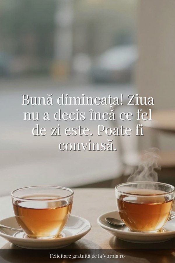 Bună dimineața! Ziua nu a decis încă ce fel de zi este. Poate fi convinsă. - felicitare Vorbia.ro