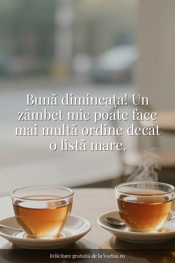 Bună dimineața! Un zâmbet mic poate face mai multă ordine decât o listă mare. - felicitare Vorbia.ro