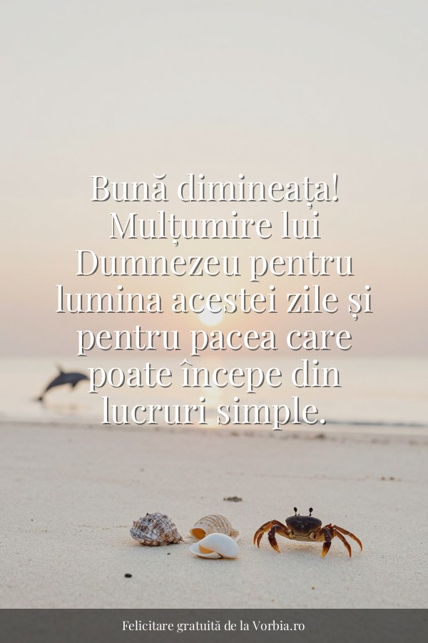 Bună dimineața! Mulțumire lui Dumnezeu pentru lumina acestei zile și pentru pacea care poate începe din lucruri simple. - felicitare Vorbia.ro