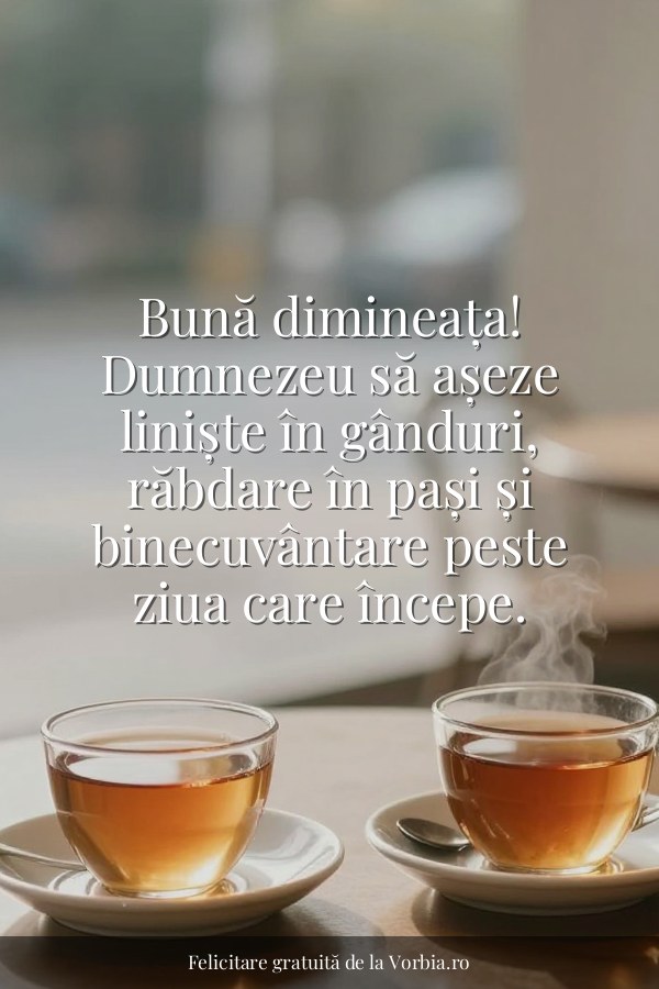 Bună dimineața! Dumnezeu să așeze liniște în gânduri, răbdare în pași și binecuvântare peste ziua care începe. - felicitare Vorbia.ro