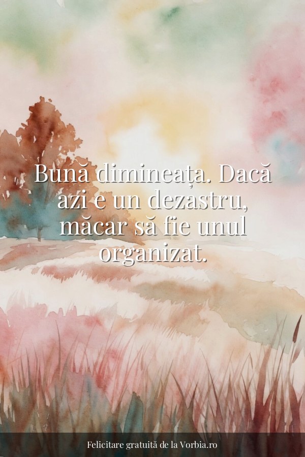 Bună dimineața. Dacă azi e un dezastru, măcar să fie unul organizat. - felicitare Vorbia.ro