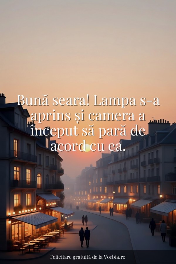Bună seara! Lampa s-a aprins și camera a început să pară de acord cu ea. - felicitare Vorbia.ro