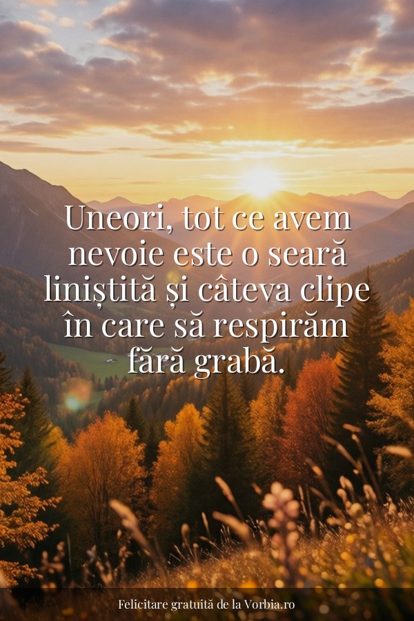 Uneori, tot ce avem nevoie este o seară liniștită și câteva clipe în care să respirăm fără grabă. - felicitare Vorbia.ro