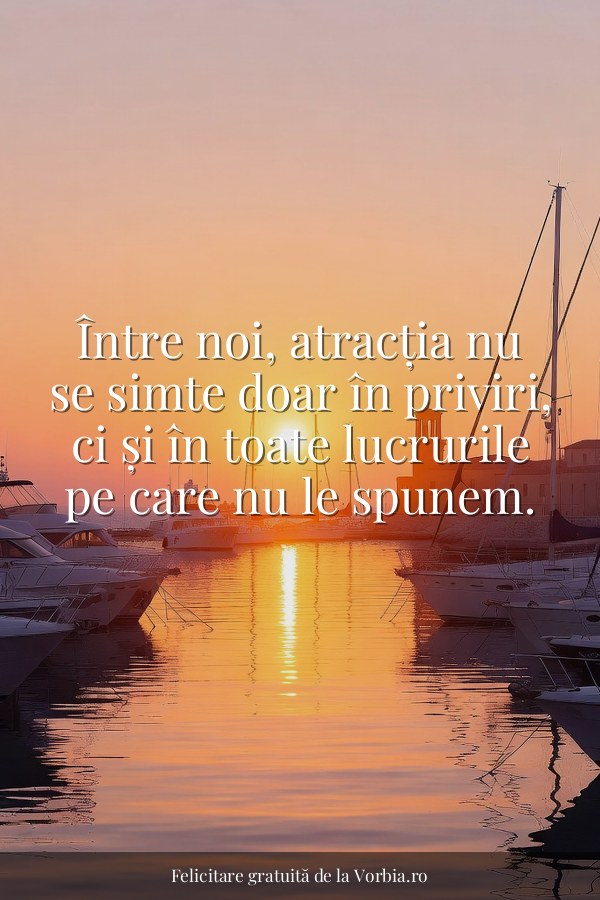 Între noi, atracția nu se simte doar în priviri, ci și în toate lucrurile pe care nu le spunem. - felicitare Vorbia.ro