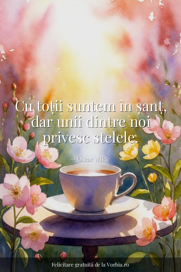 Cu toții suntem în șanț, dar unii dintre noi privesc stelele. - felicitare Vorbia.ro