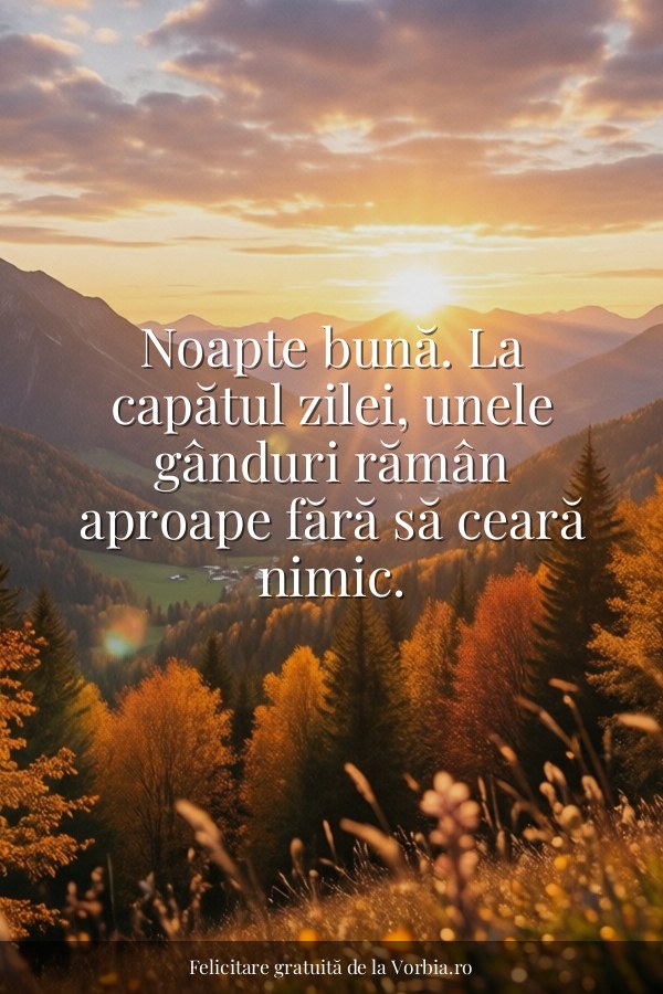 Noapte bună. La capătul zilei, unele gânduri rămân aproape fără să ceară nimic. - felicitare Vorbia.ro