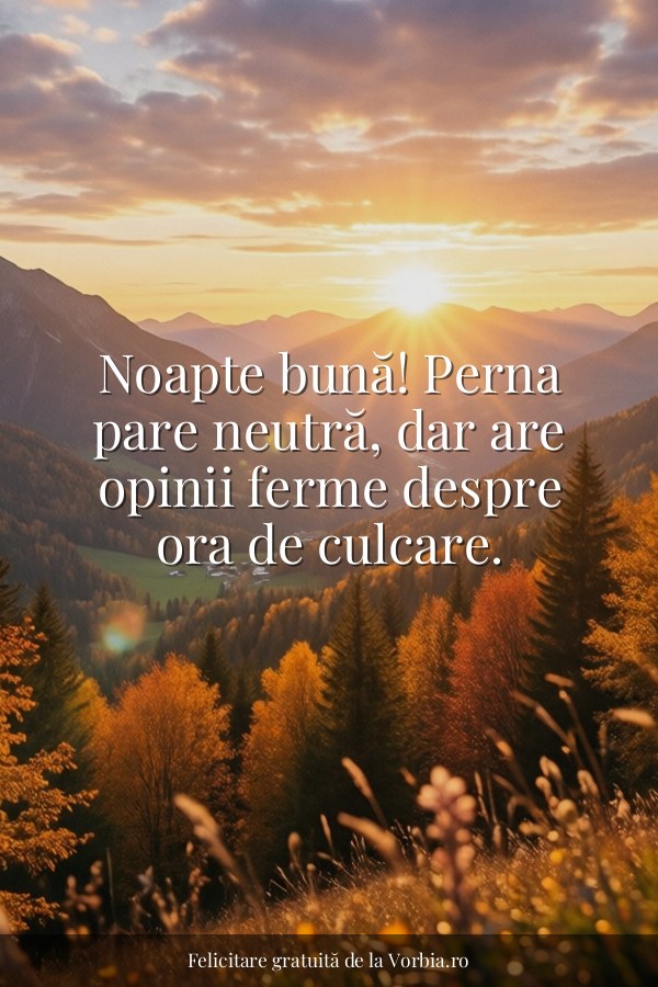 Noapte bună! Perna pare neutră, dar are opinii ferme despre ora de culcare. - felicitare Vorbia.ro