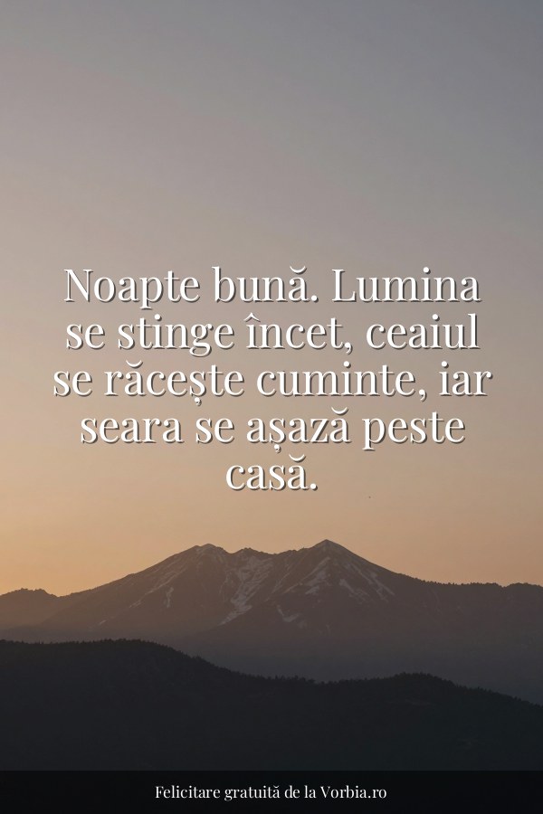 Noapte bună. Lumina se stinge încet, ceaiul se răcește cuminte, iar seara se așază peste casă. - felicitare Vorbia.ro