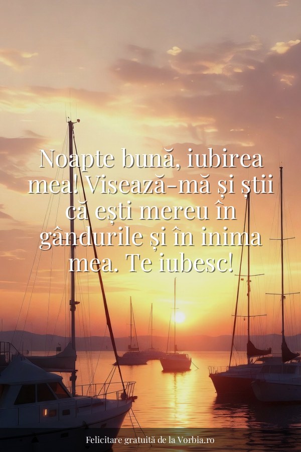 Noapte bună, iubirea mea! Visează-mă și știi că ești mereu în gândurile și în inima mea. Te iubesc! - felicitare Vorbia.ro