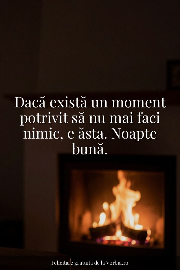 Dacă există un moment potrivit să nu mai faci nimic, e ăsta. Noapte bună. - felicitare Vorbia.ro