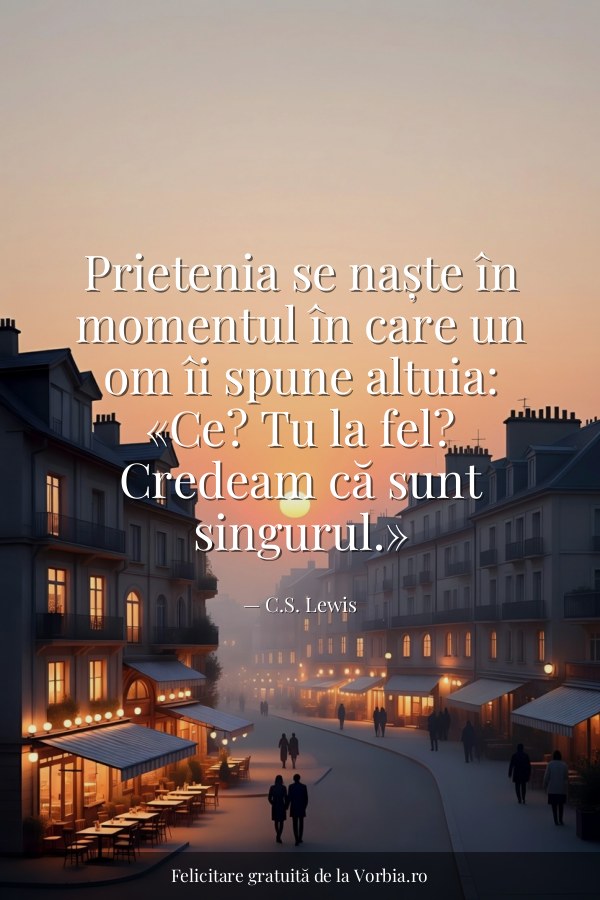 Prietenia se naște în momentul în care un om îi spune altuia: «Ce? Tu la fel? Credeam că sunt singurul.» - felicitare Vorbia.ro