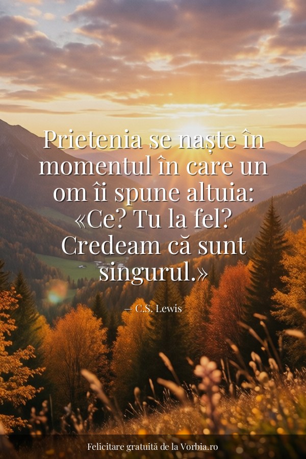 Prietenia se naște în momentul în care un om îi spune altuia: «Ce? Tu la fel? Credeam că sunt singurul.» - felicitare Vorbia.ro