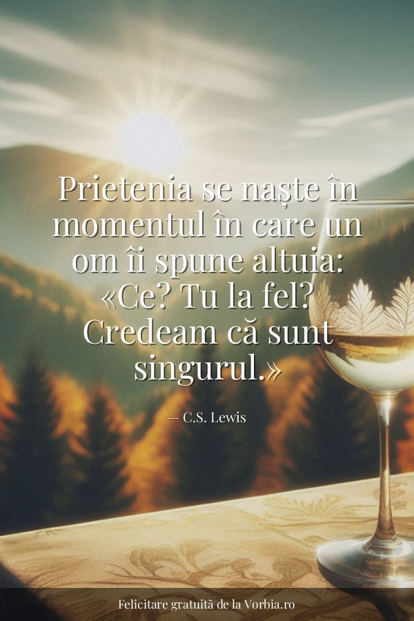 Prietenia se naște în momentul în care un om îi spune altuia: «Ce? Tu la fel? Credeam că sunt singurul.» - felicitare Vorbia.ro