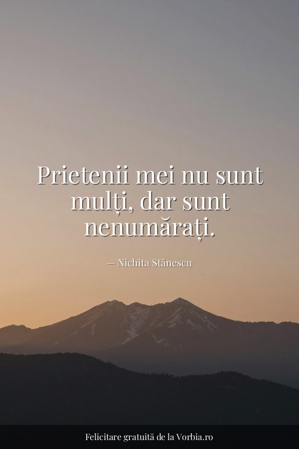 Prietenii mei nu sunt mulți, dar sunt nenumărați. - felicitare Vorbia.ro