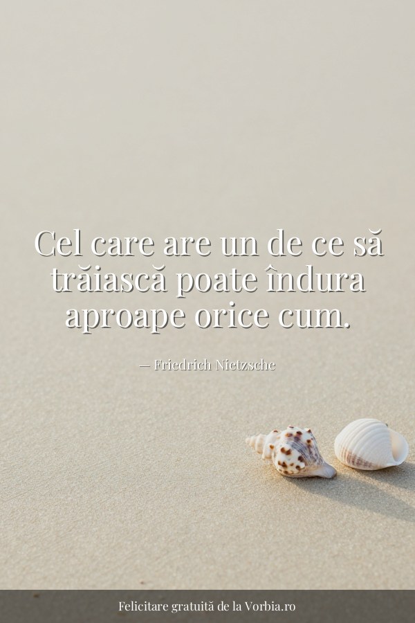 Cel care are un de ce să trăiască poate îndura aproape orice cum. - felicitare Vorbia.ro