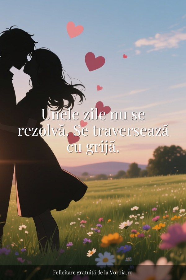 Unele zile nu se rezolvă. Se traversează cu grijă. - felicitare Vorbia.ro