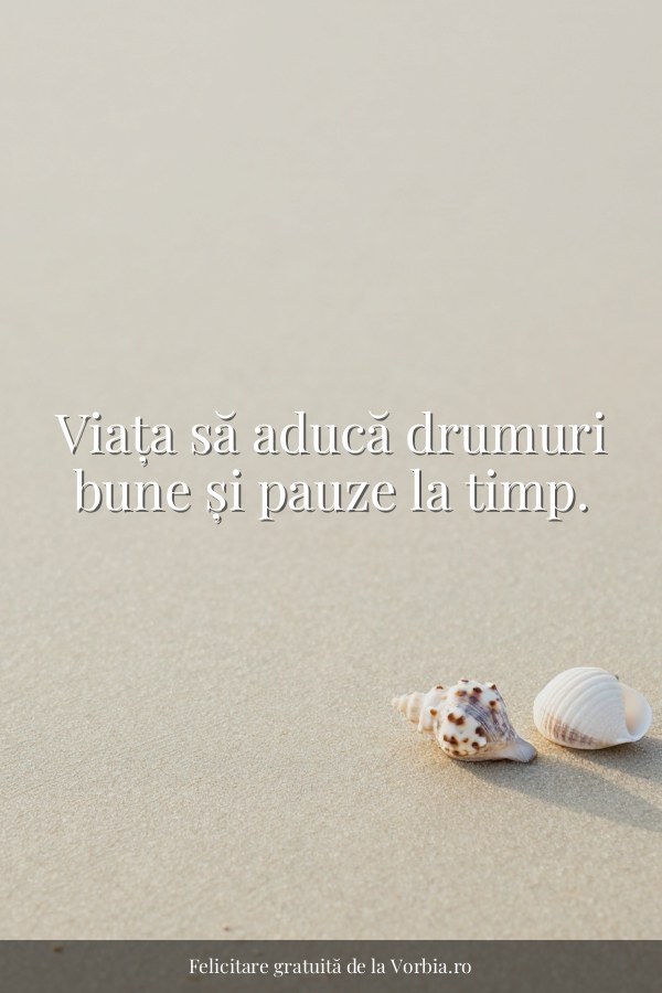 Viața să aducă drumuri bune și pauze la timp. - felicitare Vorbia.ro