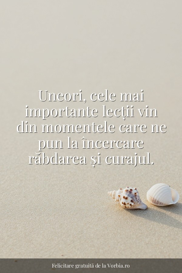 Uneori, cele mai importante lecții vin din momentele care ne pun la încercare răbdarea și curajul. - felicitare Vorbia.ro